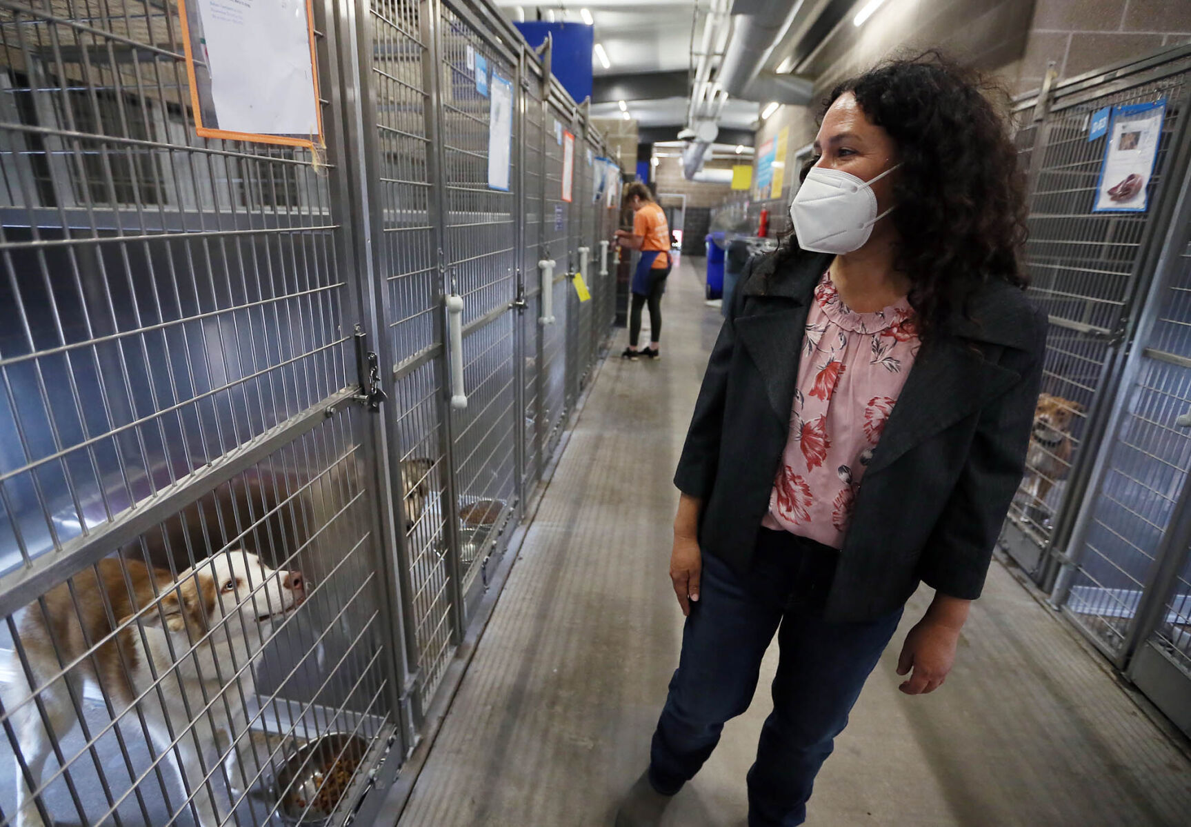 Animal Shelter